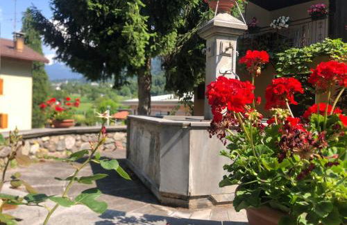 Casa Gugjet Cuore Carnico - Appartamento Tamai -giardino - senza scale - parcheggio privato - 4 zampe gratis - Foto 25