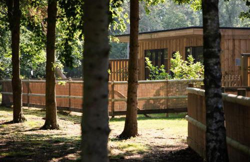 Luxury Chestnut Lodge with Hot Tub and Games Room - Foto 29