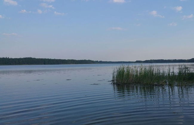 Holiday Home Werder/havel - Foto 7