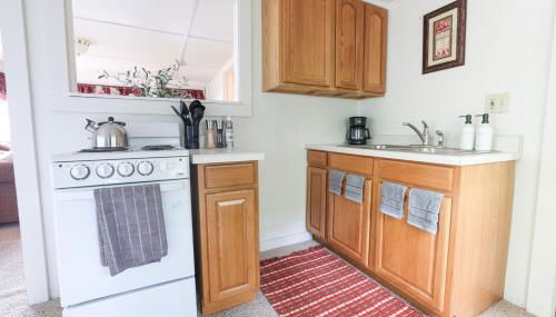 Wilderness West Resort Cabin 6 - Foto 2