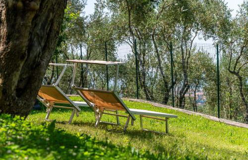 Ollie`s house - Foto 56