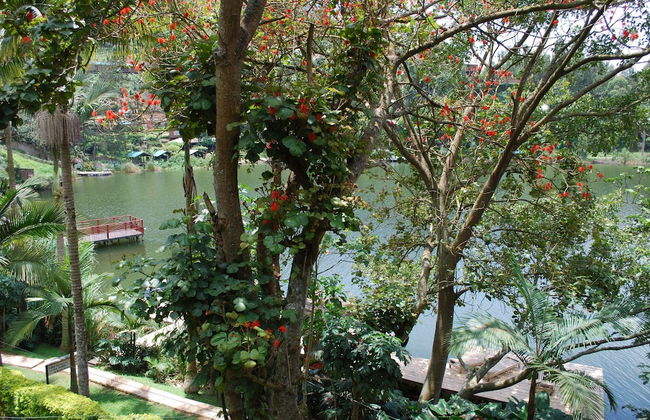 Crater Bay Cottages - Photo 70