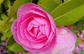 Maison familiale à 10 min du Mont Saint Michel - Foto 29