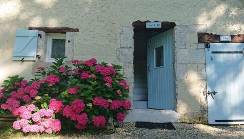 Entire apartment with swimming pool near Aubeterre - Foto 4