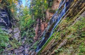 Ferienwohnung Green Deer - Foto 33