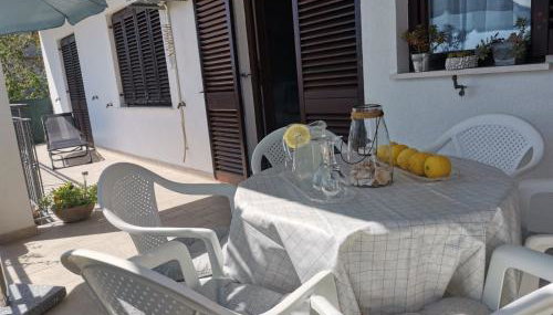 House Silva - Photo 4