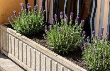 Quiet Private Apartment - 2min Train Station - 5min Palais Croisette - Private entrance - Photo 14