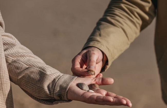 Apartment in Texel Near De Koog Center - Foto 19