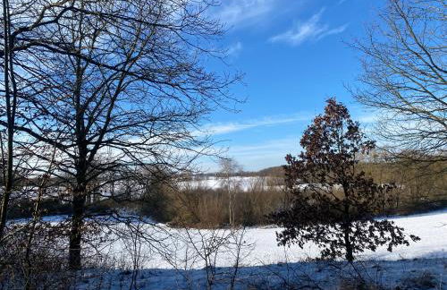 Klein aber fein in der Altstadt - Photo 22