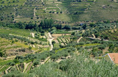 Casa Oliveiras do Douro - Foto 36