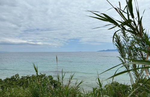 Kiki's House - Foto 24