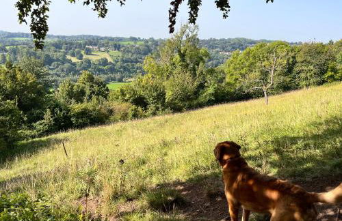 Stillmeadow - Foto 45