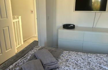 Black Daisy - Foto 47