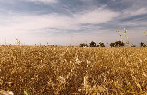 Borgo Le Colline Luxury Agriturismo in Tuscany - Foto 5
