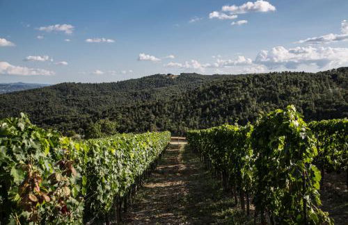 Casa Guaitoli - Foto 47