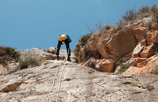 La Casa del Carrebaix - Photo 78