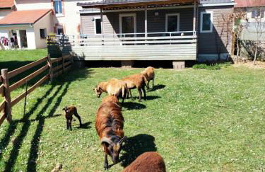 Cottage gîte aux Lauriers Lacroix sur meuse - Foto 4