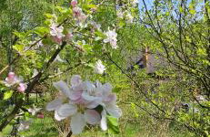Chata Górska Sowa, Cały Dom tylko dla Was - Foto 19