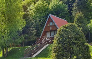 Perełka Bieszczady Domki - Photo 51