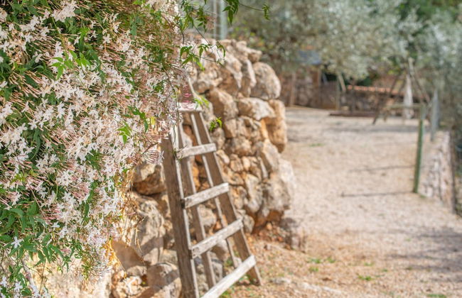 Els Abats - Villa With Private Pool In Fornalutx - Photo 39