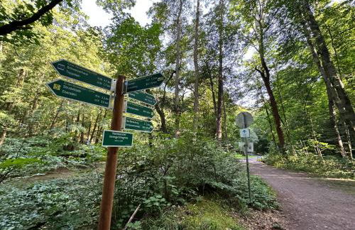 FeWo Burgblick - Foto 21