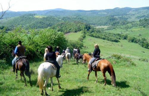 La Casa dei Nonni - Photo 50