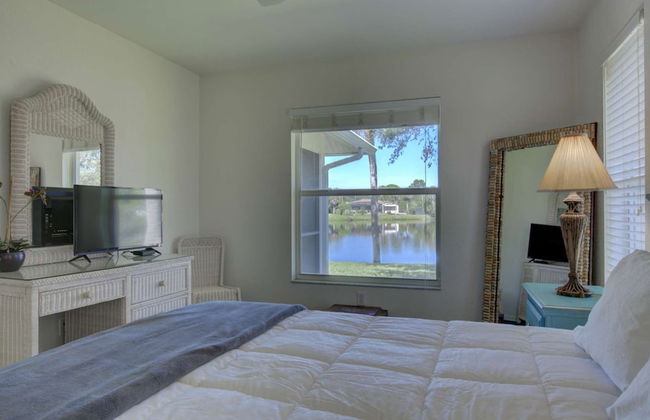 Smiling Dolphin - Foto 3