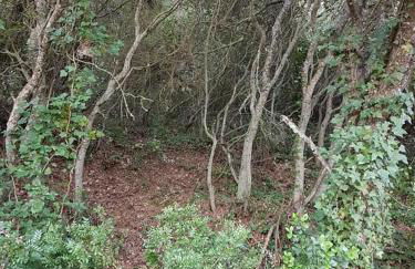 Casa do Canto - Uma casa no campo, perto da praia. - Foto 30