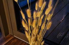 Homey Apartments Harbor Suite - Parking Two Bathrooms Netflix Sea view - Photo 20