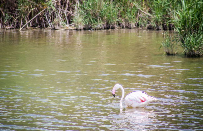 A View on Cagliari - Photo 60