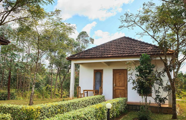 Andasibe Sifaka Lodge - Foto 8