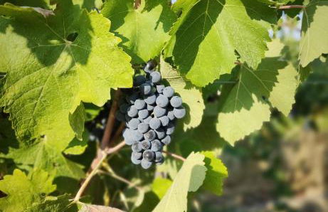 Casa Elisabetta - Foto 53