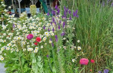 The Stables - 2 bed with large garden and hot tub. - Foto 12