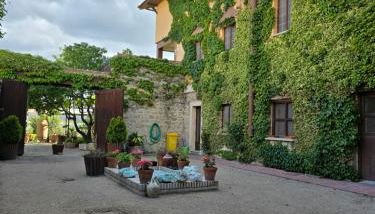 Finca La Calancha - Foto 5, Garden