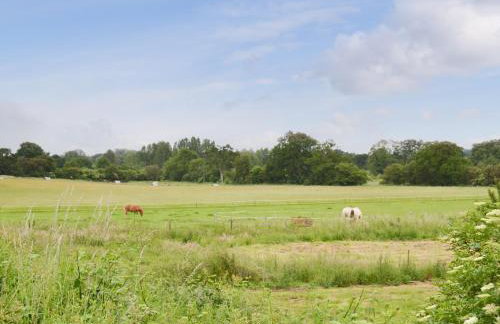 Eden Cottage - Foto 22