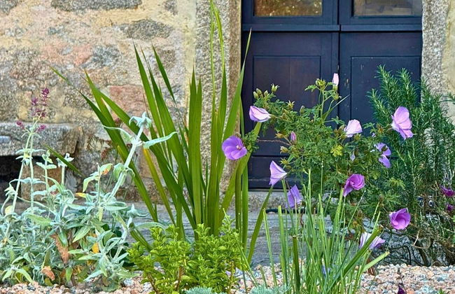 Lu Pastruccialeddu - Foto 58