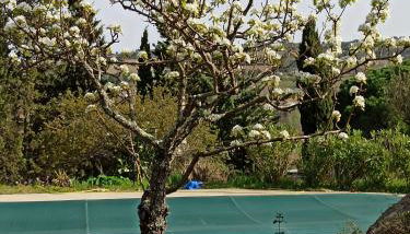 Le Rocher au Thym - Foto 3