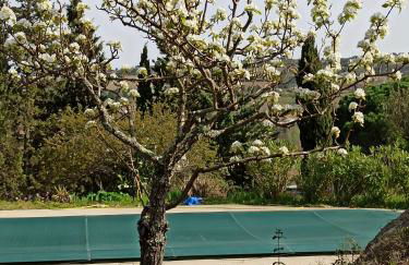 Le Rocher au Thym - Foto 3