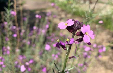 The Grannary - Photo 26