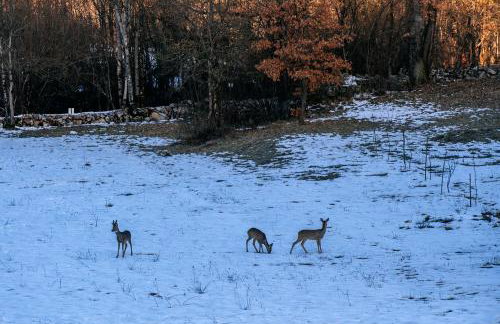 Villa Lovelos - Photo 45