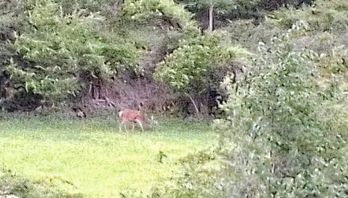 Ático LA FLOR DEL SOL - Foto 2