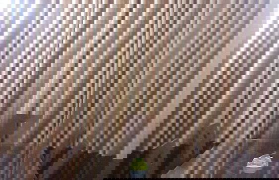 Roo Neeroga - Foto 3