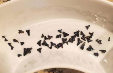 The Lookout: Tranquil Beachfront Condo - Foto 6