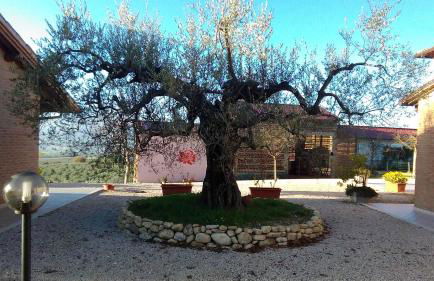 Agriturismo La Rosa Montefalco - Foto 12