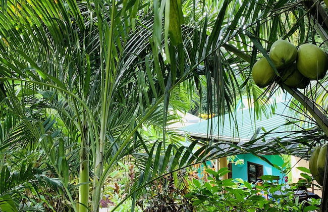 OSoleil Guesthouse - Foto 65