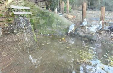 100mts beach Ribeirão da Ilha c Espaço Gourmet - Foto 41