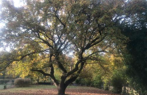 Spacieux appartement au bord de l'Oise - Foto 11