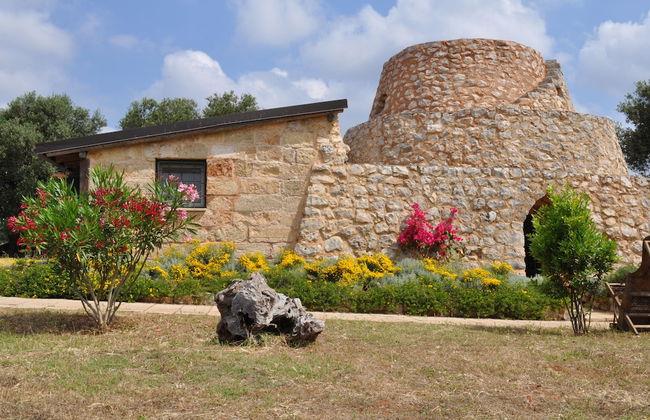 Azienda Agricola Spirdo - Foto 53