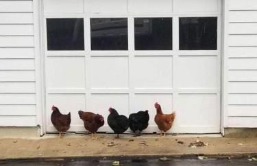 Pleasant Cozy Airstream with Amazing Stargaze and Farm Views in Maryland - Foto 30