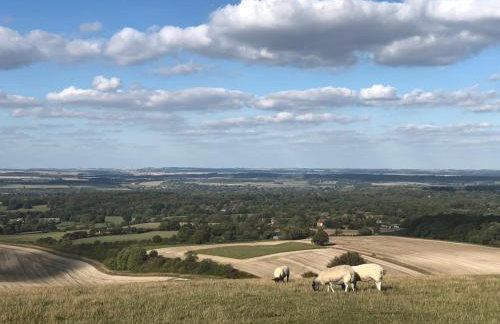 Brays Cottage, Inkpen - Perfect Country Time - Foto 32